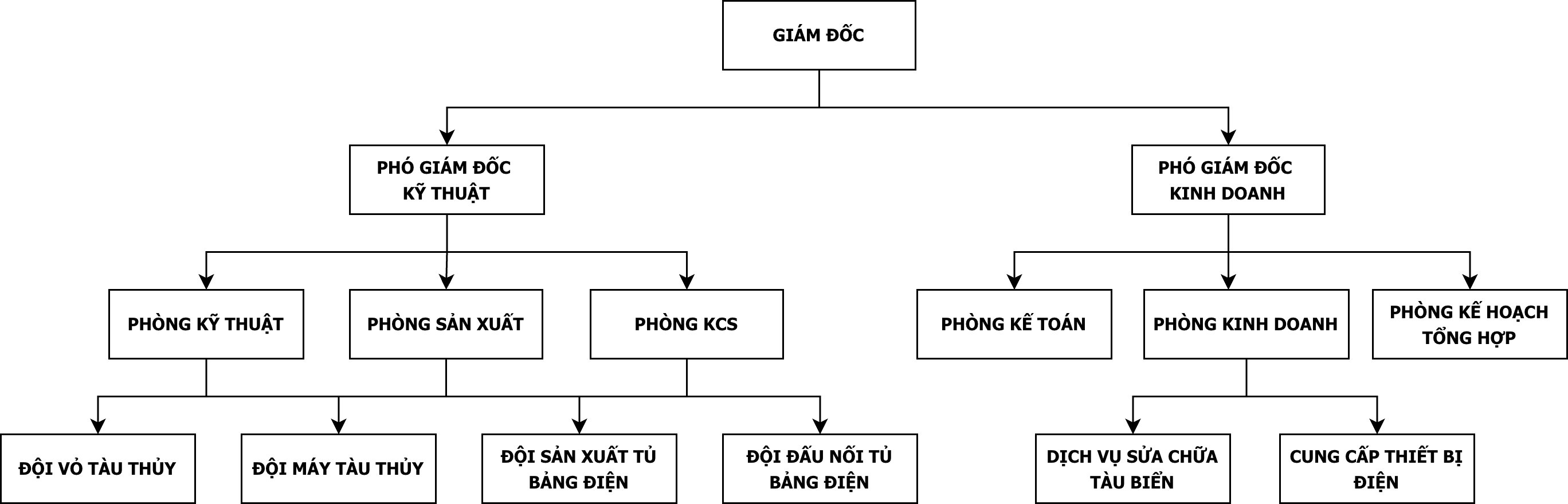 Cơ cấu tổ chức 1