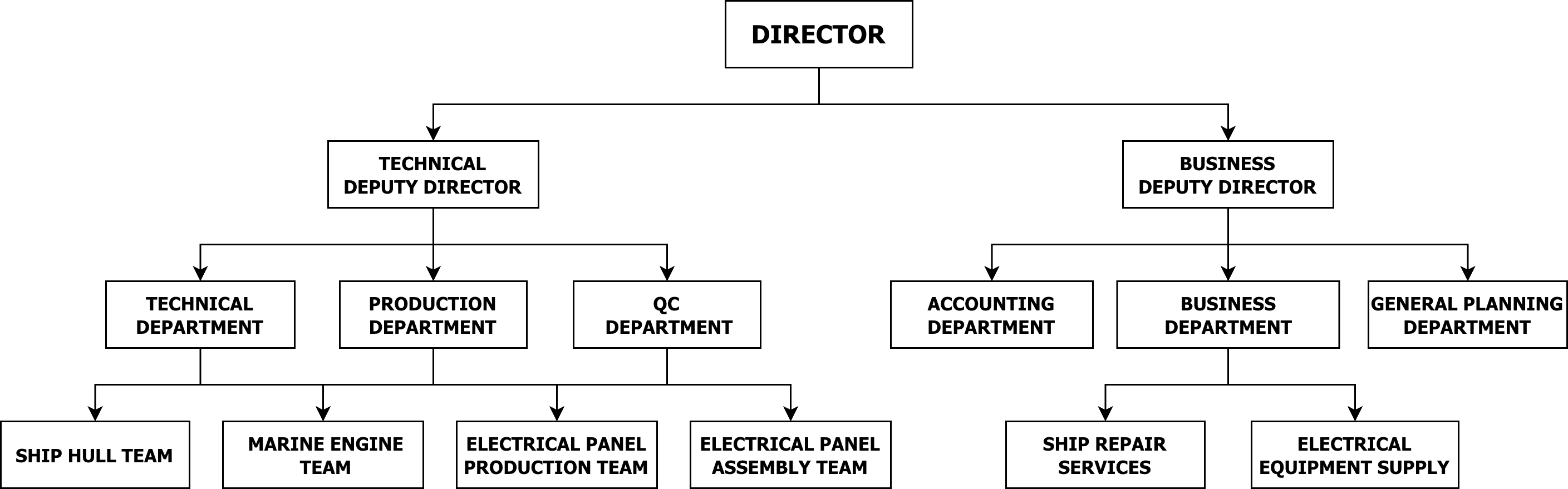Organizational Structure 1